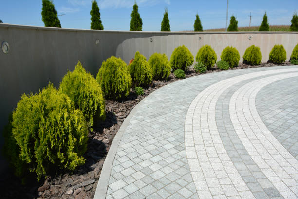 Best Local Driveway Pavers  in Caoncito, NM